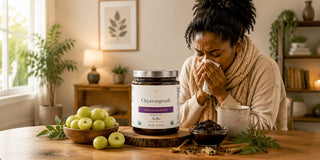 Supplements For Immune Function