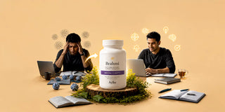 Best Supplement For Focus And Concentration 