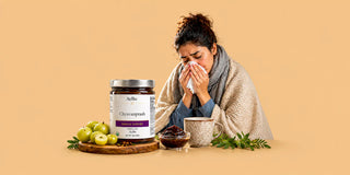 Best Supplements for Immune Function