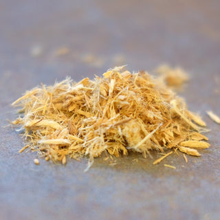 Astragalus Whole