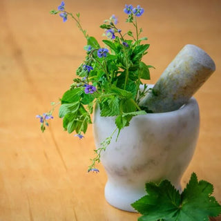 Ayurvedic Philosophy of Health (Svastha)