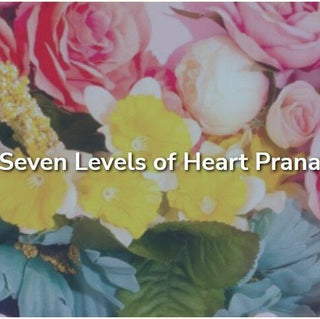 The Seven Levels of Heart Prana - with David Crow