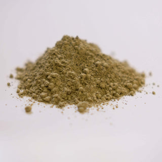 Bladderwrack - Powder