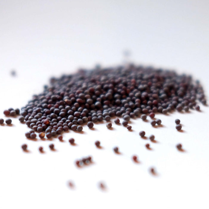 Mustard Seed, Brown - Whole