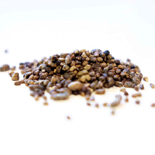 Cardamom Seed Whole