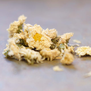 chrysanthemum