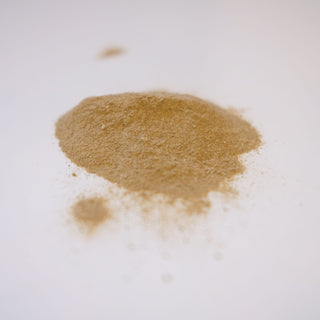 Dong Quai Powder