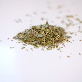 Echinacea Leaf Whole
