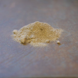 Echinacea Root - Powder