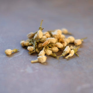 Jasmine Flower