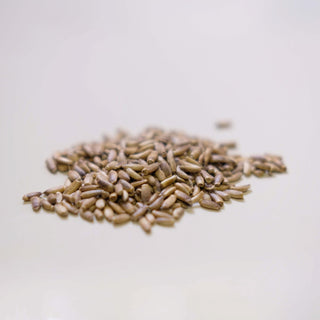 Milk Thistle Seed - Whole