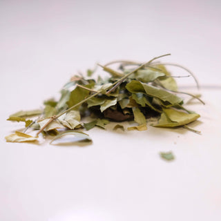 Nirgundi Leaf - Whole