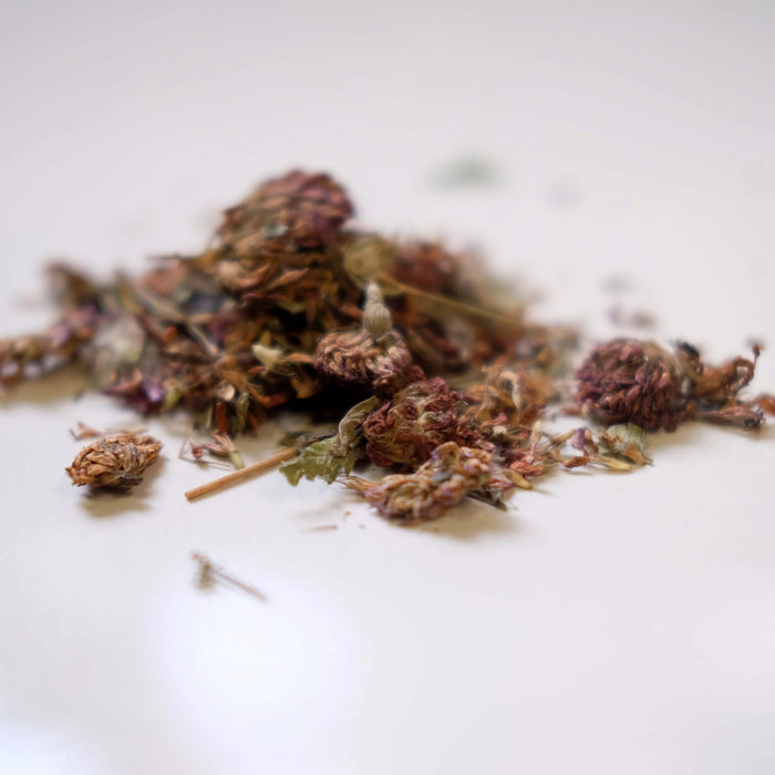 Red Clover Blossom - Whole