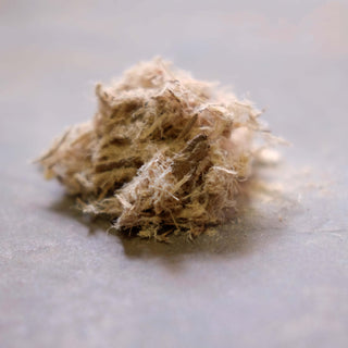 Slippery Elm - Whole